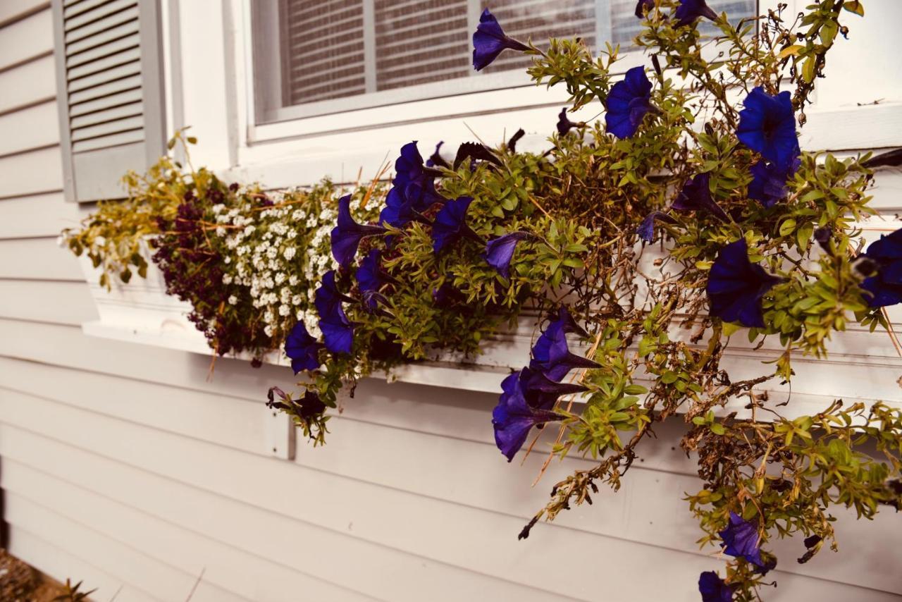 Cape Cod Wishing Well Motel Харуич Порт Екстериор снимка